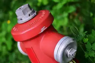 服务器切换器怎么使用的，深入解析服务器切换器，操作指南与实用技巧
