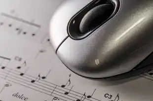 远程vps怎么登录，远程VPS登录攻略，轻松激活抖音号，开启云端办公新体验