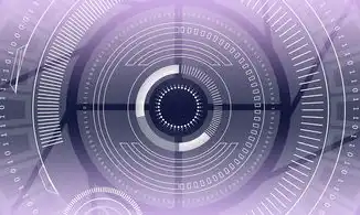 internet地址和域名服务，深入解析Internet域名服务器的作用及其工作原理