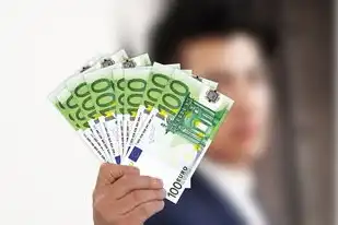 跨境电商公司注册域名要求，跨境电商公司注册域名的攻略与技巧，打造独特品牌形象