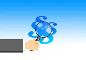 怎样查询域名是哪个公司注册的,揭秘域名注册信息,如何查询域名背后的公司信息