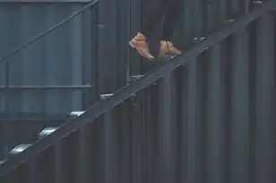 我的世界服务器类型选什么，探索我的世界，不同服务器类型全解析及推荐指南