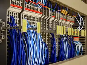 vps主机租用价格多少钱，2023 VPS主机租用价格全解析，从入门到高阶的避坑指南