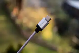 虚拟机插usb，虚拟机USB接口连接失败，全面解析及解决方案