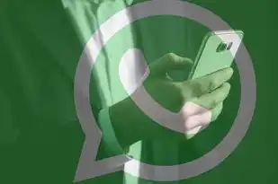 云服务器的主要用途是什么，云服务器的作用与功能，企业级云计算时代的核心基础设施