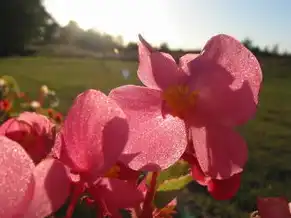 云桌面是虚拟机吗，云桌面与虚拟机，两者有何区别与联系？