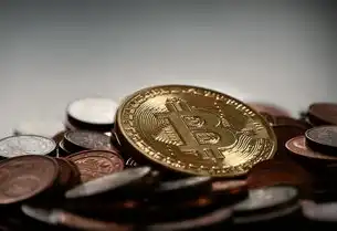 国际顶级域名注册证书怎么查看网站信息的，国际顶级域名注册证书查看网站信息指南，揭秘域名背后的真相