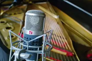 本地服务器租赁商家怎么登录，本地服务器租赁商家登录指南，轻松掌握登录技巧，畅享高效服务