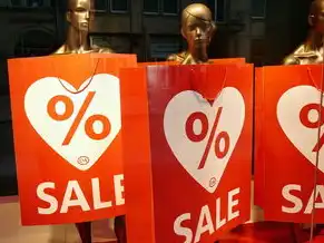 京东云服务器官网，深入解析京东云服务器，高效、安全、稳定的企业级云服务