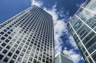 自建云服务器需要什么配置，自建云服务器，配置攻略及注意事项详解