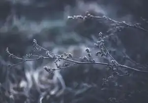 虚拟机挂起什么意思，虚拟机挂载ISO镜像全解析，原理、操作指南与进阶技巧