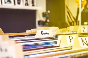 对象存储英文简称，Object Storage:Understanding the Abbreviation and Its Significance in Data Management