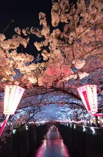 日本樱花服务器推荐使用，日本樱花服务器推荐，体验极致流畅的网络游戏之旅