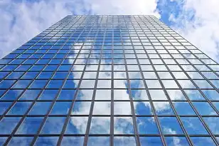 云服务器镜像类型，深入解析云服务器镜像类型及其应用场景