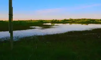 桌面云虚拟机激活，桌面云虚拟机激活与优化，深度解析与实践指南