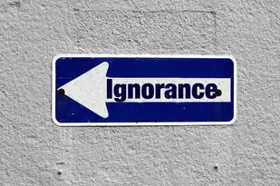 对象存储和块存储区别 简单理解，对象存储与块存储，揭秘存储领域的胶片与硬盘之争