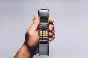亚服服务器排行榜最新,2023年亚洲游戏服务器生态深度解析,从原神到王者荣耀的亚服排行榜及行业趋势报告