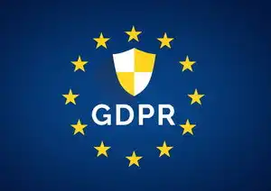 域名注册的法律法规要求,我国域名注册法律法规解读及合规要点分析