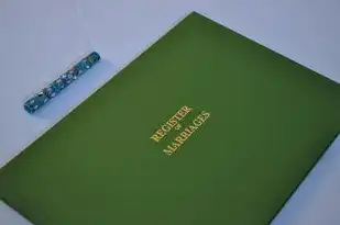网站域名注册证书怎么下载不了，网站域名注册证书下载不畅，原因及解决方法详解