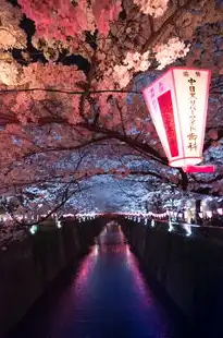 日本樱花云服务器hu，日本樱花云服务器hu深度解析，性能卓越，服务优质，助力企业全球化布局