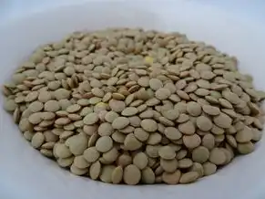 云桌面是虚拟机吗，云桌面与虚拟机，它们之间的关系与区别