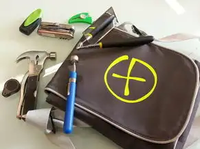 谁用过云服务器带操作系统桌面的软件，云服务器带操作系统桌面软件体验分享，多平台应用，高效便捷的工作方式