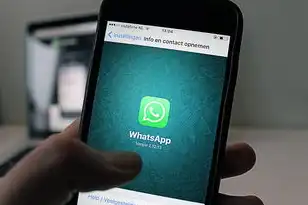 域名注册信息查询whois,深入解析域名注册信息查询,如何通过WHOIS查询域名详细信息