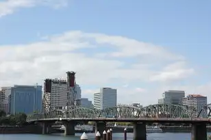 国外主流云服务商及其产品，国外主流云服务商及其产品深度解析，构建未来数字世界的基石