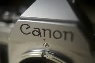 服务器验证出现问题，服务器验证失败，揭秘网络世界中隐藏的危机与应对策略