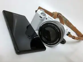 vps远程桌面服务器租一个多久，VPS远程桌面服务器租赁方案，轻松实现高效远程办公