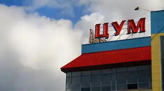 多店铺云服务器是什么,多店铺云服务器,助力电商企业实现高效运营的利器
