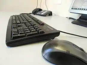 对象存储和传统文件存储哪个快一点，深入解析，对象存储与传统文件存储速度对比