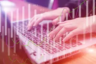 注册域名的网站是什么，注册域名网站类型大盘点，全方位解析各类域名注册平台