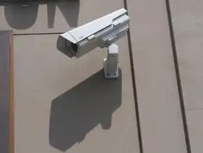 您不能在安全服务器上游玩，揭秘安全服务器，为何无法畅游游戏世界？深度剖析三大关键因素