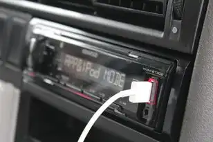 虚拟机插usb，虚拟机USB接口连接失败？深度解析原因及解决方案