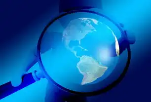 域名注册服务商怎么查询，如何查询域名注册服务商，全面解析查询方法及注意事项