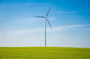 对象存储服务oss适用于哪些应用场景，深入探讨，对象存储OSS的替代方案与应用场景分析