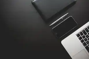 小公司用的存储服务器是什么意思，小公司存储服务器全解析，从基础概念到实战部署