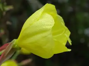 电脑主机第四个红色灯闪烁怎么回事，电脑主机第四个红色灯闪烁，全面解析故障原因及解决方法