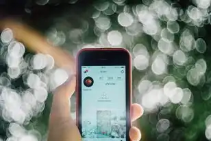 虚拟机中的文件怎么拷贝出来呢，虚拟机中的文件怎么拷贝出来，全流程解析与实用技巧