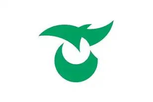 日本便宜的云服务器推荐，日本云服务器超值推荐指南，从选型到部署的完整解决方案（2023年深度解析）