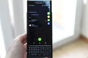 虚拟机linux挂载硬盘，虚拟机Linux挂载ISO镜像全流程解析，从基础操作到高级优化