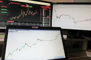 云服务器 配置，云服务器配置表文档全解析，从结构到应用场景
