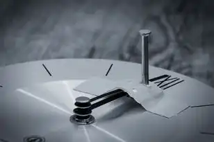 对象存储的优势有哪些不足之处，对象存储的优势与不足，全面解析其在现代数据架构中的局限性