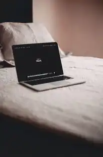 笔记本当主机外接显示器win10，笔记本电脑外接显示器使用全指南，安全隐患、性能优化与实用技巧