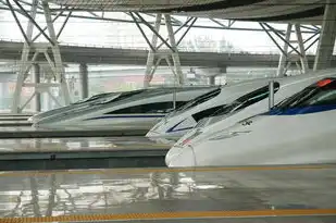 阿里云租服务器价格高吗怎么样啊，阿里云租服务器价格高吗？深度解析阿里云服务器成本构成与性价比