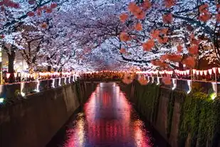 日本樱花服务器正片免费，日本樱花云服务器，正片免费时代开启？揭秘亚太地区性价比最高的云解决方案