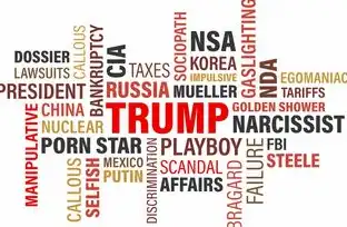美国免费云主机试用一年，美国免费云主机试用全攻略，一年免费资源深度解析与实战指南
