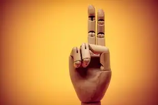 云服务指的是什么,云服务,数字时代的资源革命与商业重构