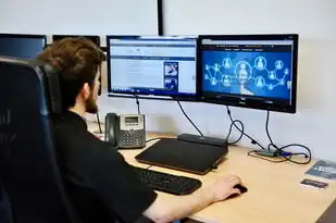 ceph角色中object storage device，Ceph对象存储多版本技术实现解析，基于OSD的角色与核心机制